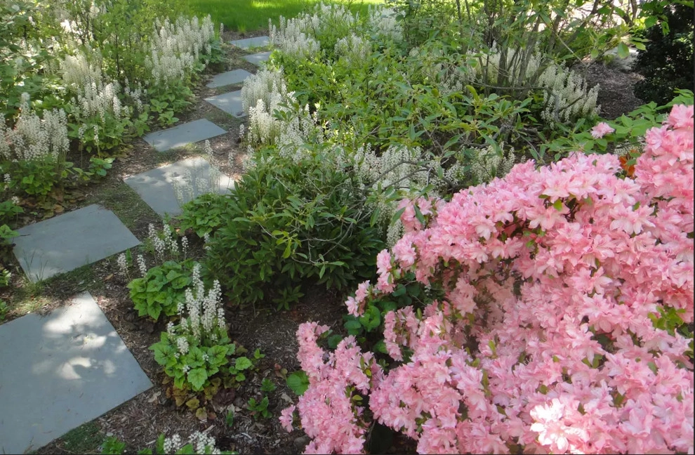 Newton Woodland Garden by Elizabeth Gourley Design - Photo 3