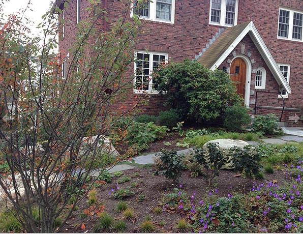 Belmont Front Yard Landscape Renovation by Elizabeth Gourley Design - Photo 4