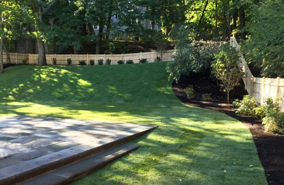 Brookline Backyard by Elizabeth Gourley Design - Photo 8