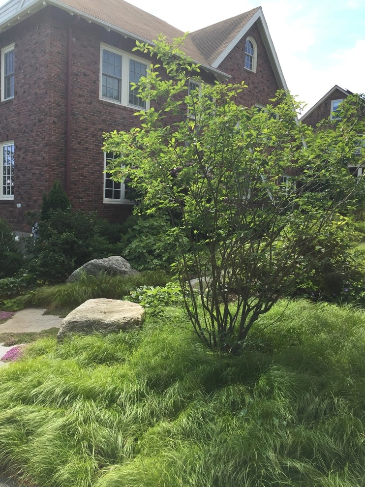 Belmont Front Yard Landscape Renovation by Elizabeth Gourley Design - Photo 3