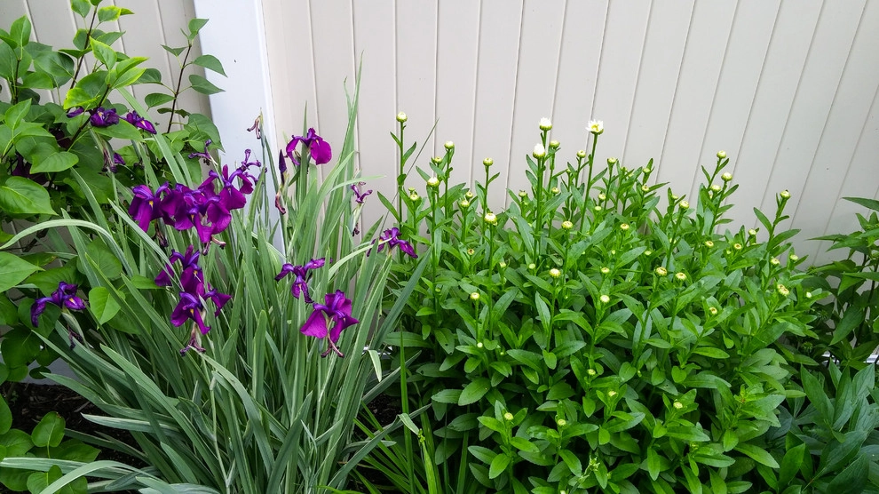 Needham Family Yard by A Blade Of Grass - Photo 9