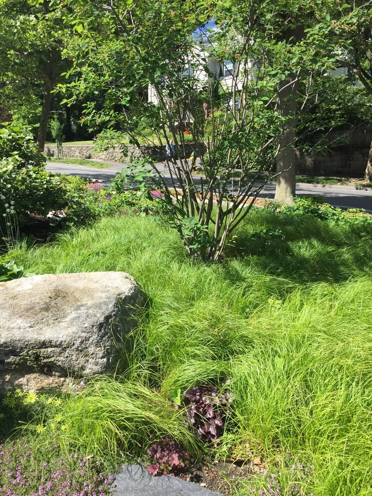 Belmont Front Yard Landscape Renovation by Elizabeth Gourley Design - Photo 9