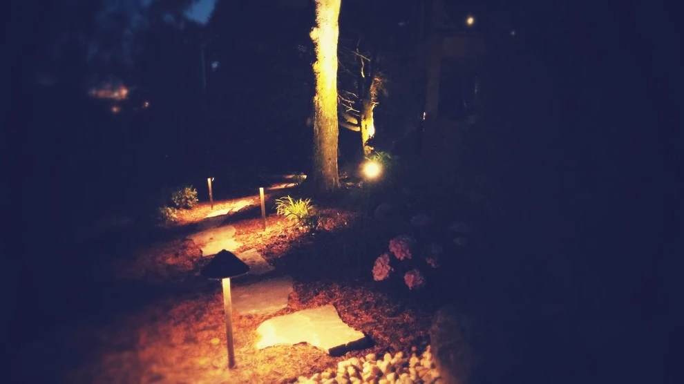 Robert's Nursery Lawn & Landscaping LLC - Photo 14