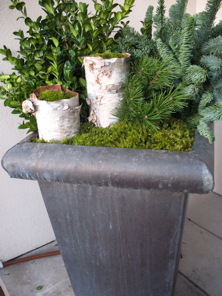 Winter decorations by A Blade Of Grass - Photo 68