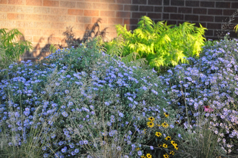 Embassy Landscape Group - Photo 13