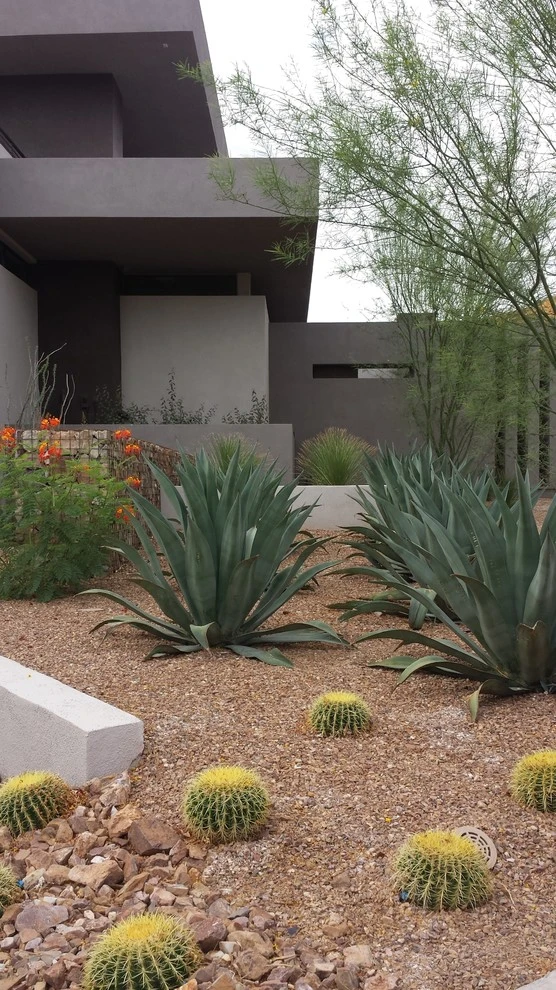 H Vegas Residence by Sage Design Studios, Inc. - Photo 4