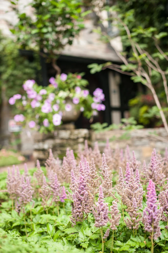 Historical Home Landscape Design by Sarah's Cottage Creations - Photo 2