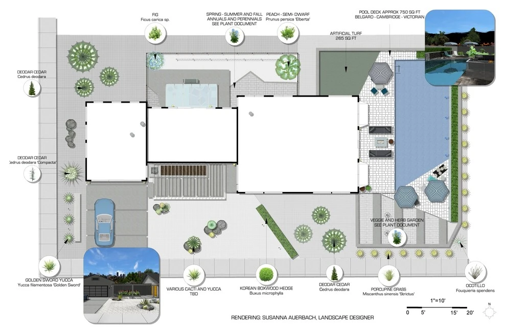 Sasalandscapedesigner - Photo 6
