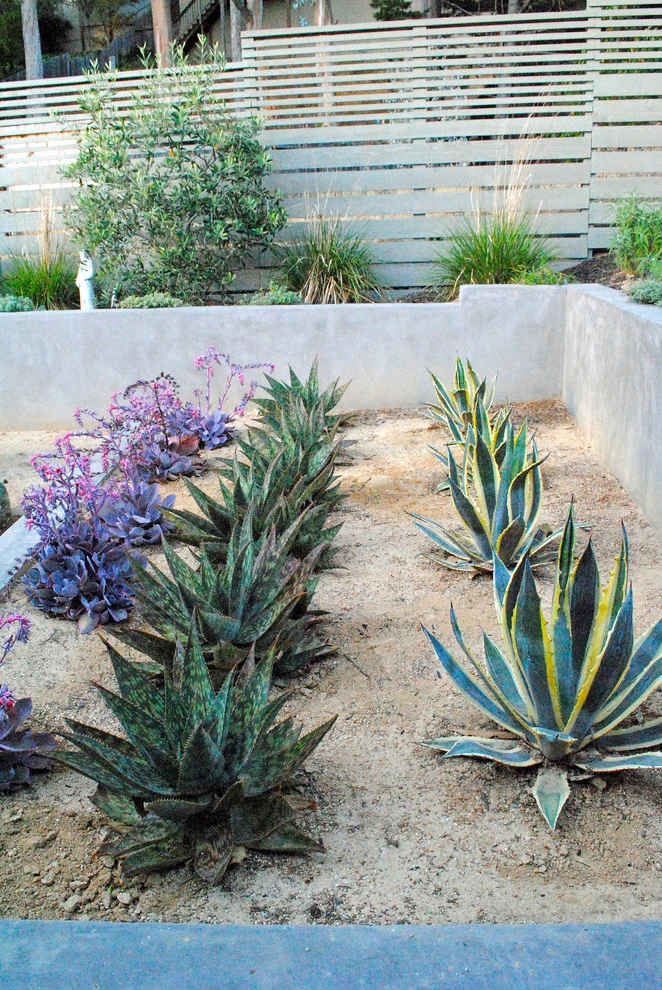 San Mateo Modern by Kristen Rudger Landscape Design - Photo 14