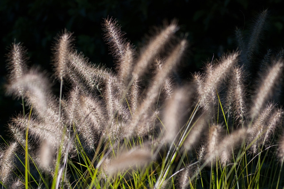 Contemporary Landscape by A Blade Of Grass - Photo 38