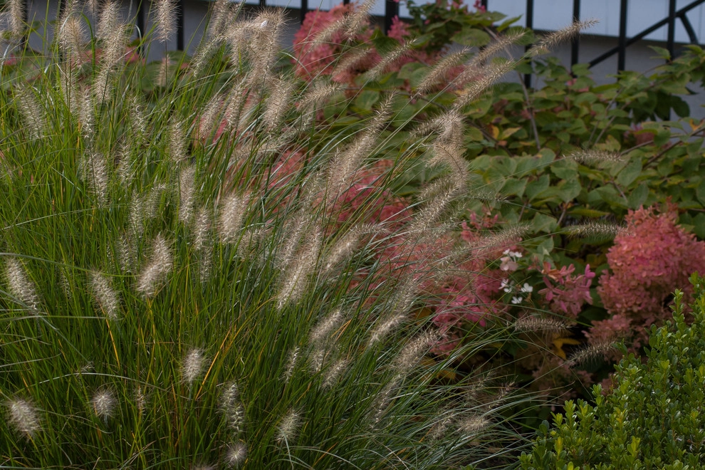Contemporary Landscape by A Blade Of Grass - Photo 36