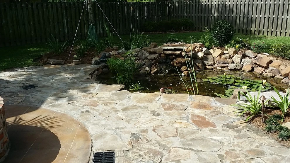 Natural Oasis by Smith + Baker - Photo 10
