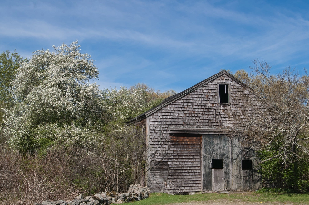 Fletcher Steele Revitalized by A Blade Of Grass - Photo 3