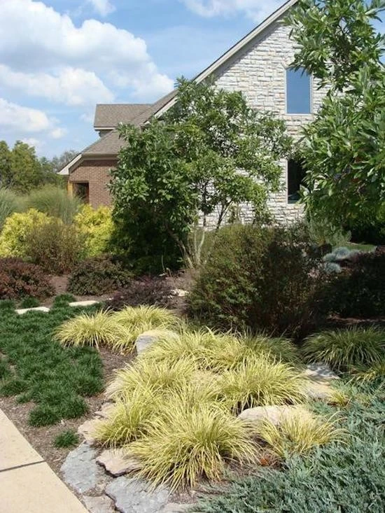 Springhouse Gardens- Garden Center - Photo 3