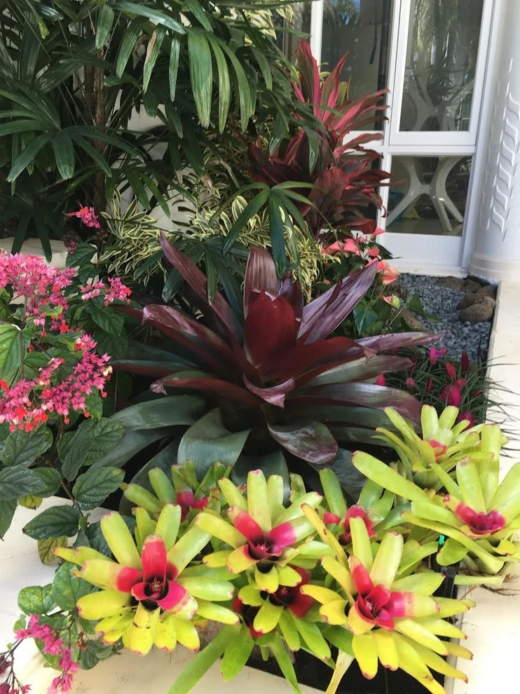 Gardens of Hawaii by Stephen Haus ASLA - Photo 8