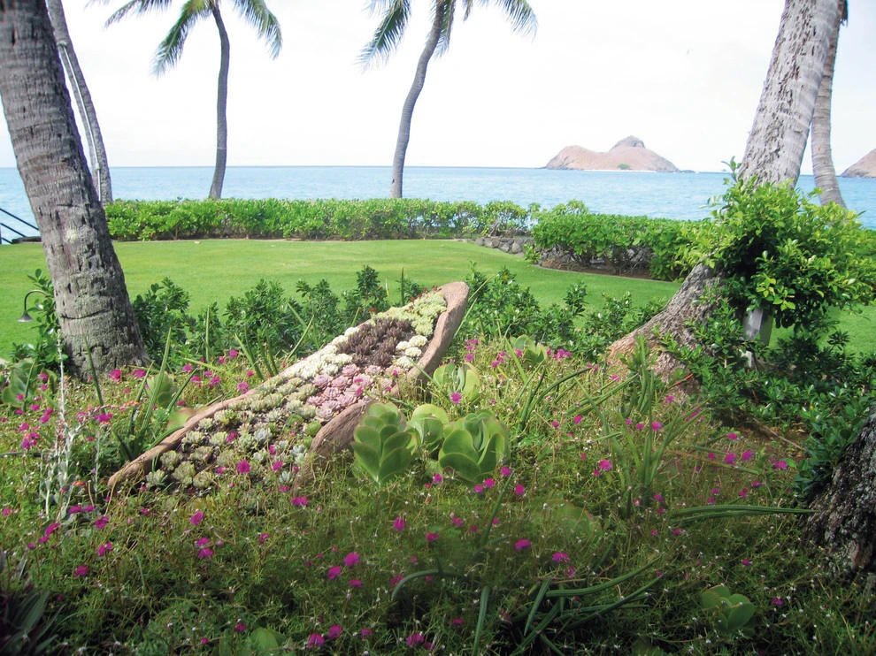 Gardens of Hawaii by Stephen Haus ASLA - Photo 7