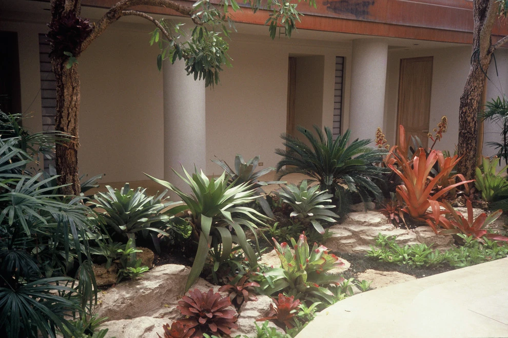 Gardens of Hawaii by Stephen Haus ASLA - Photo 9