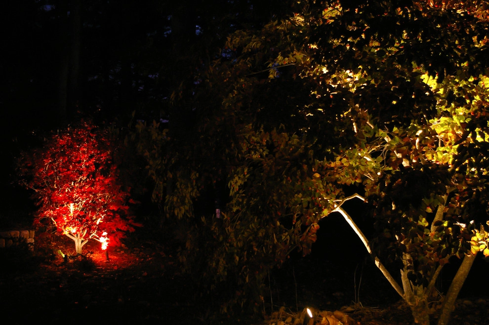 Wayland Home by A Blade Of Grass - Photo 32