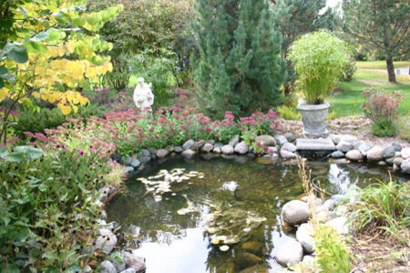 Steve Wilde - Bachman's Landscape Design - Photo 3