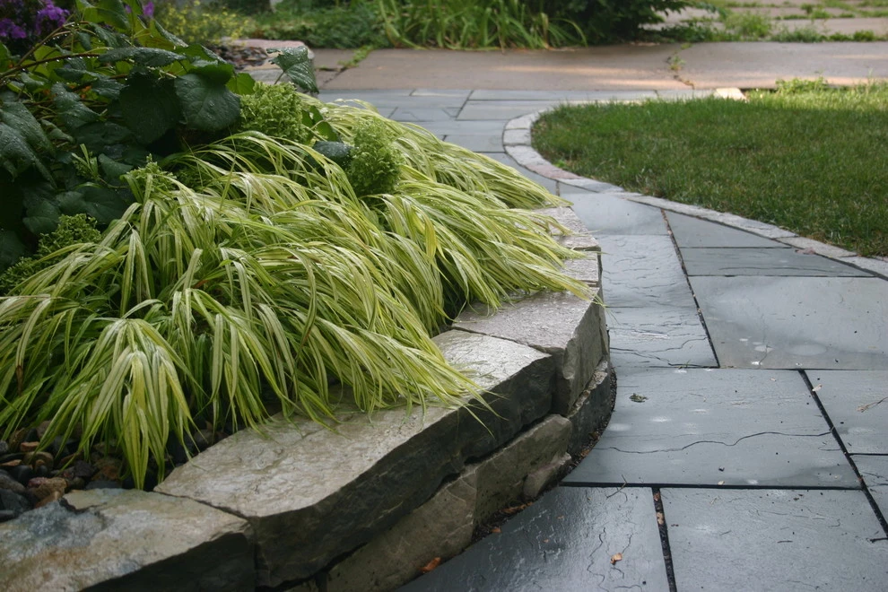 Minneapolis bluestone walkway by Steve Wilde - Bachman's Landscape Design - Photo 3