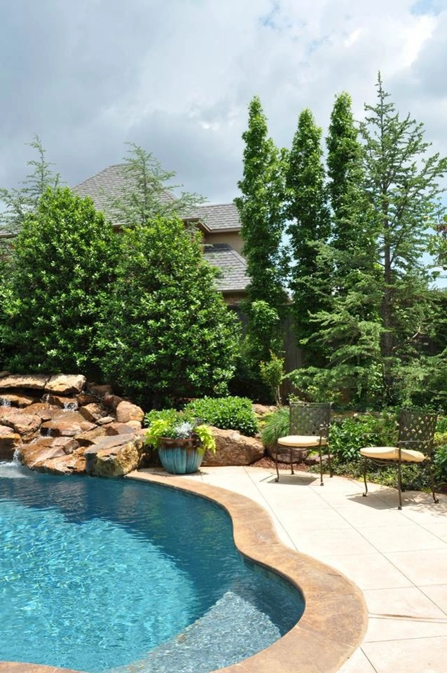 Spring Landscaping by Evergreen Landscaping - Photo 9