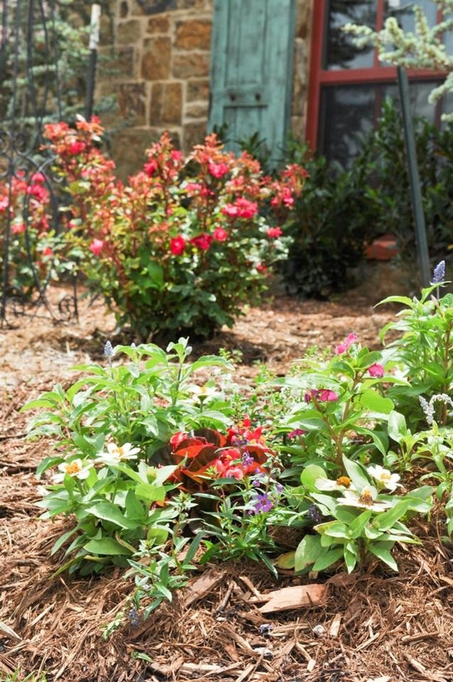 Spring Landscaping by Evergreen Landscaping - Photo 8