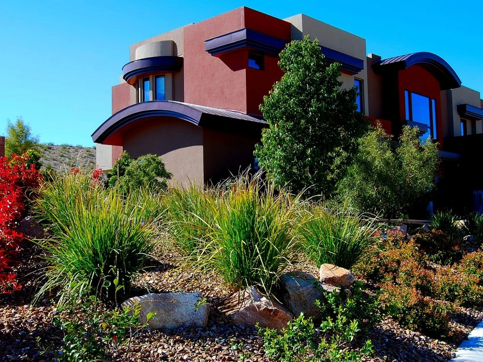 Sunset Oasis Landscapes - Photo 12