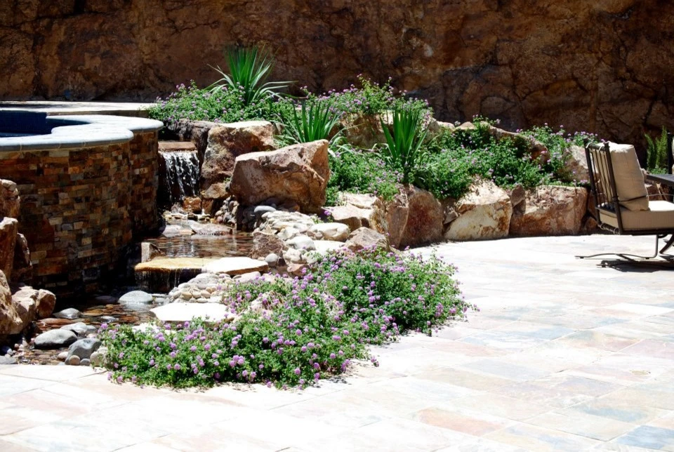 Sunset Oasis Landscapes - Photo 6