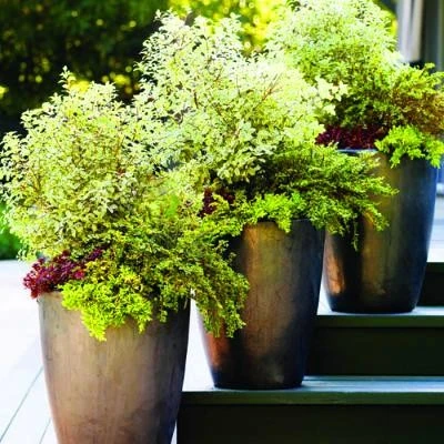 Flower Containers and Hanging Baskets by Sutter Design Group - Photo 5