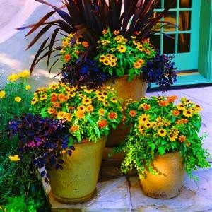 Flower Containers and Hanging Baskets by Sutter Design Group - Photo 4
