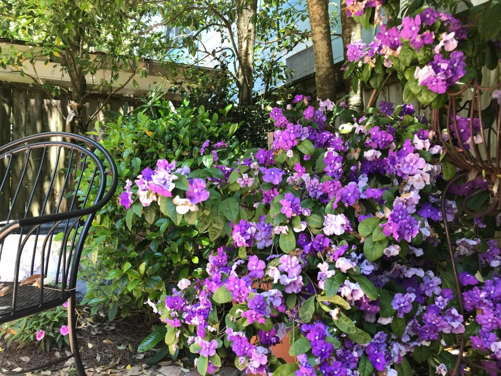 Accents by Exterior Designs, Inc. By Beverly Katz - Photo 21