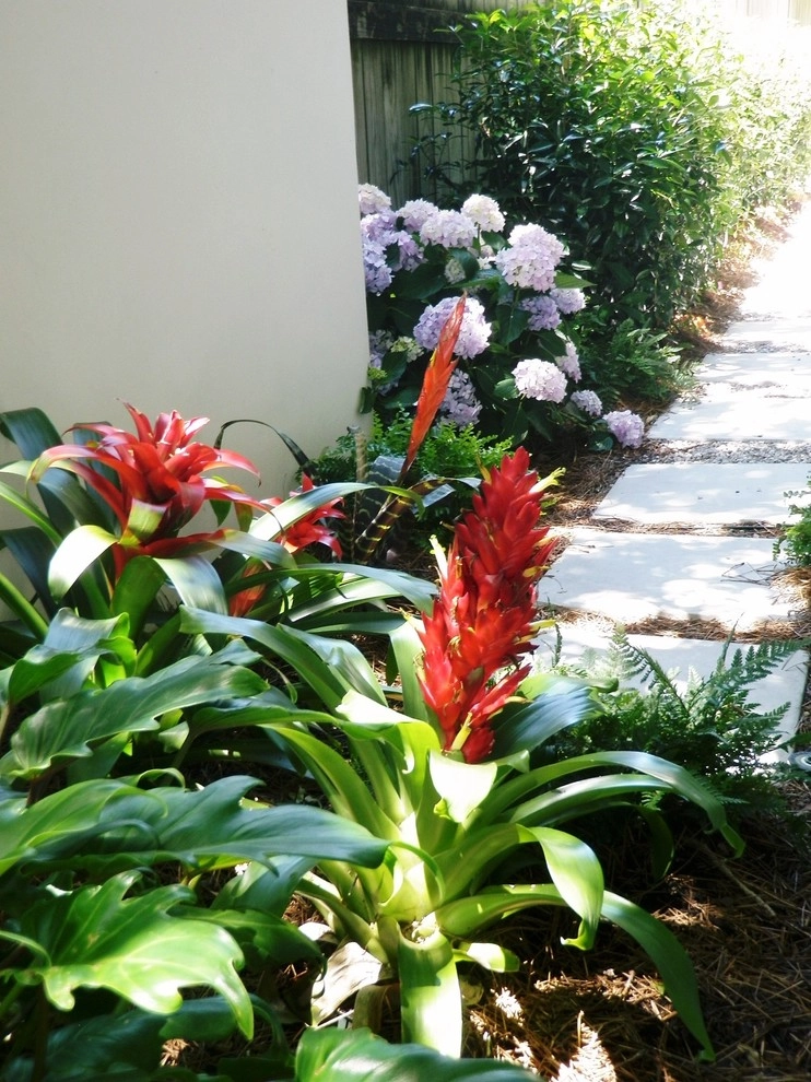 Before and After photos by Exterior Designs, Inc. By Beverly Katz - Photo 8