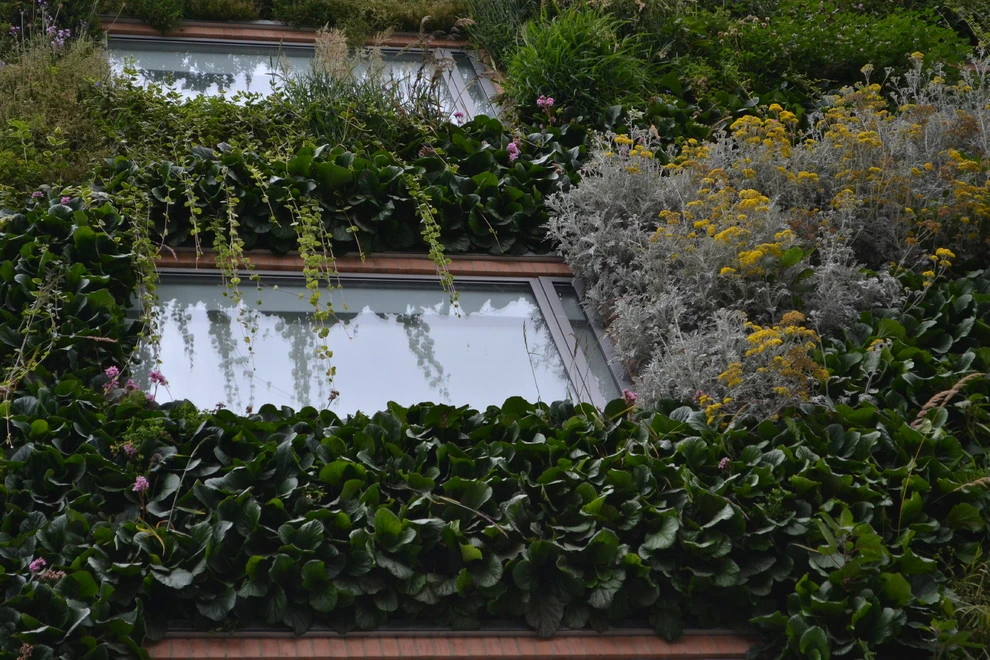 B3 Hotel Bogota, Colombia by Symbiotik Walls - Photo 3