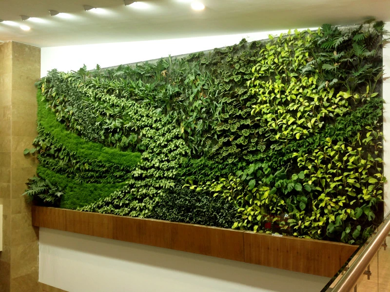 Symbiotik Walls - Photo 13