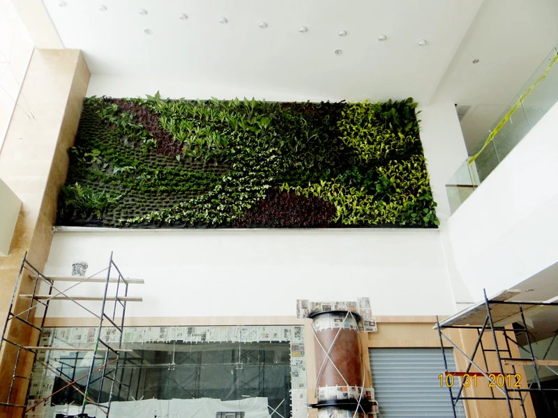Shopping Scala Quito, Ecuador by Symbiotik Walls - Photo 5