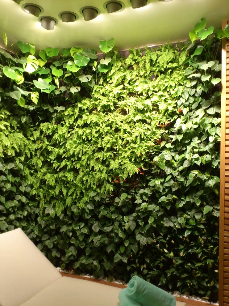 Castell Son Claret Hotel Mallorca, Spain by Symbiotik Walls - Photo 4