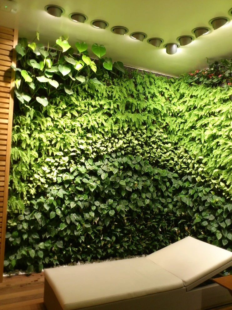 Castell Son Claret Hotel Mallorca, Spain by Symbiotik Walls - Photo 3