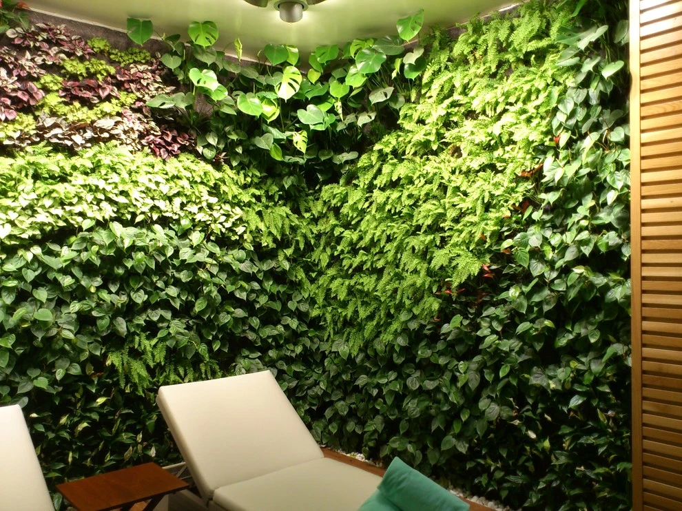 Castell Son Claret Hotel Mallorca, Spain by Symbiotik Walls - Photo 5