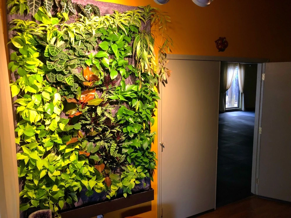 Symbiotik Walls - Photo 5