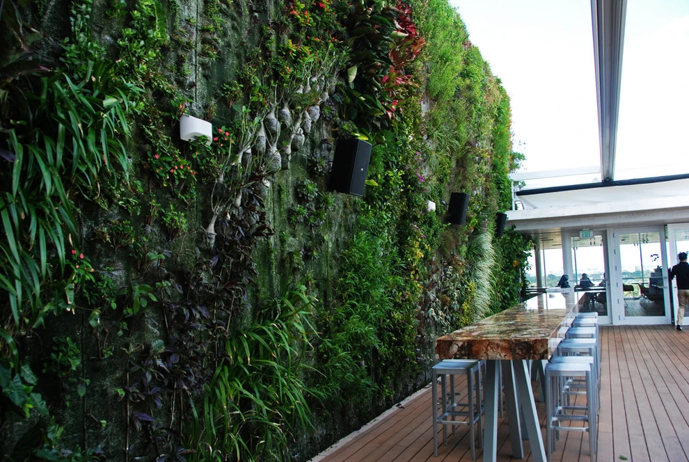 Inspirarion by Symbiotik Walls - Photo 2