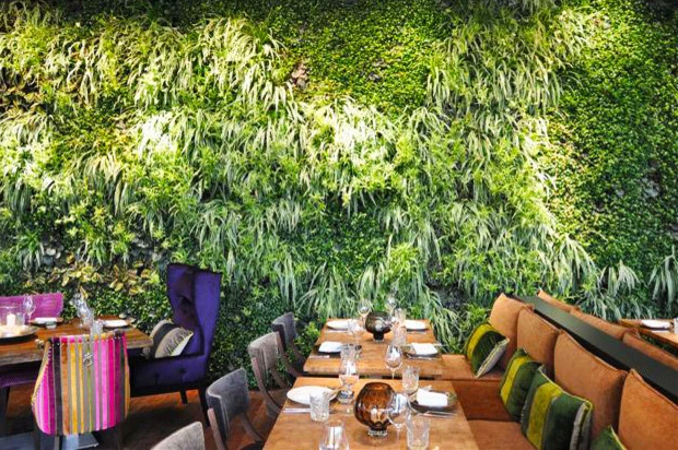Inspirarion by Symbiotik Walls - Photo 5