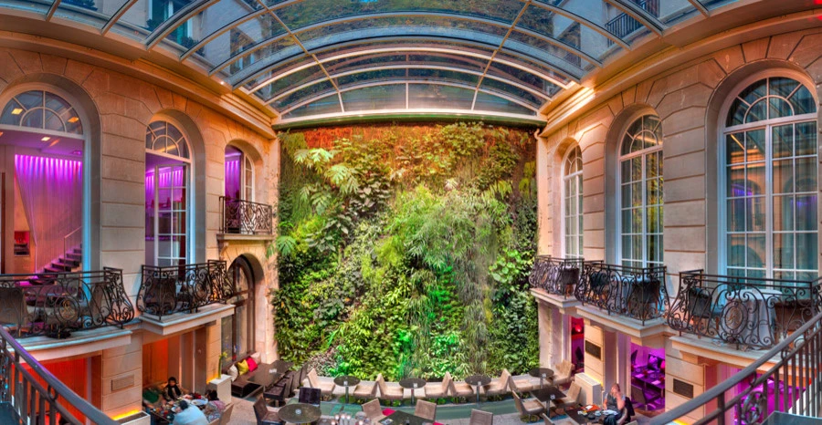 Symbiotik Walls - Photo 12