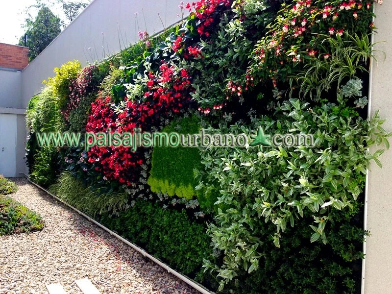 Symbiotik Walls - Photo 9