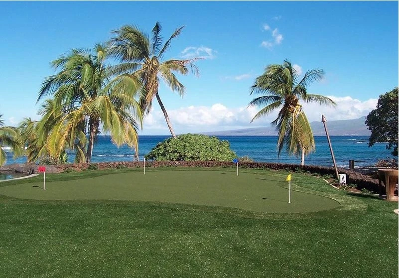 SynLawn Oahu - Photo 8