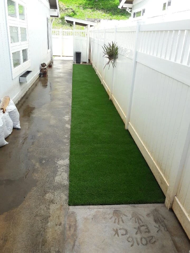 SynLawn Oahu - Photo 14