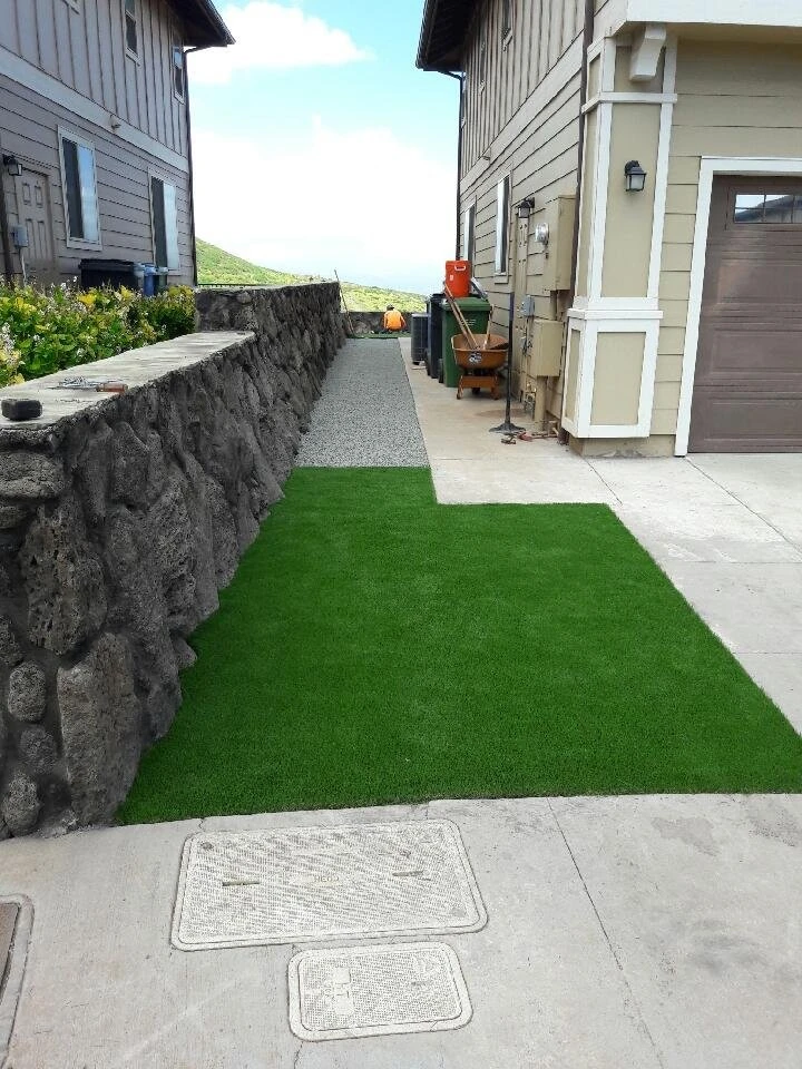 SynLawn Oahu - Photo 11