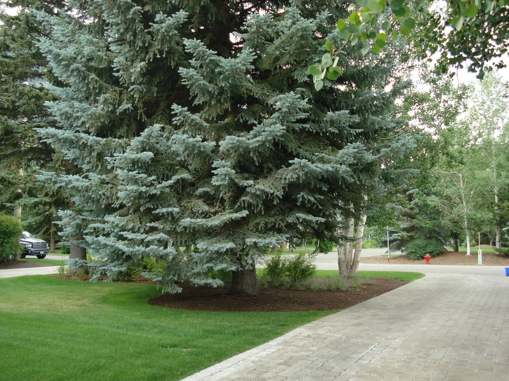 Ketchum | 3 Rivers Stone Walkways by Terry T. King Landscape Architecture - Photo 65