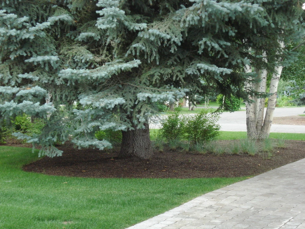 Ketchum | 3 Rivers Stone Walkways by Terry T. King Landscape Architecture - Photo 23
