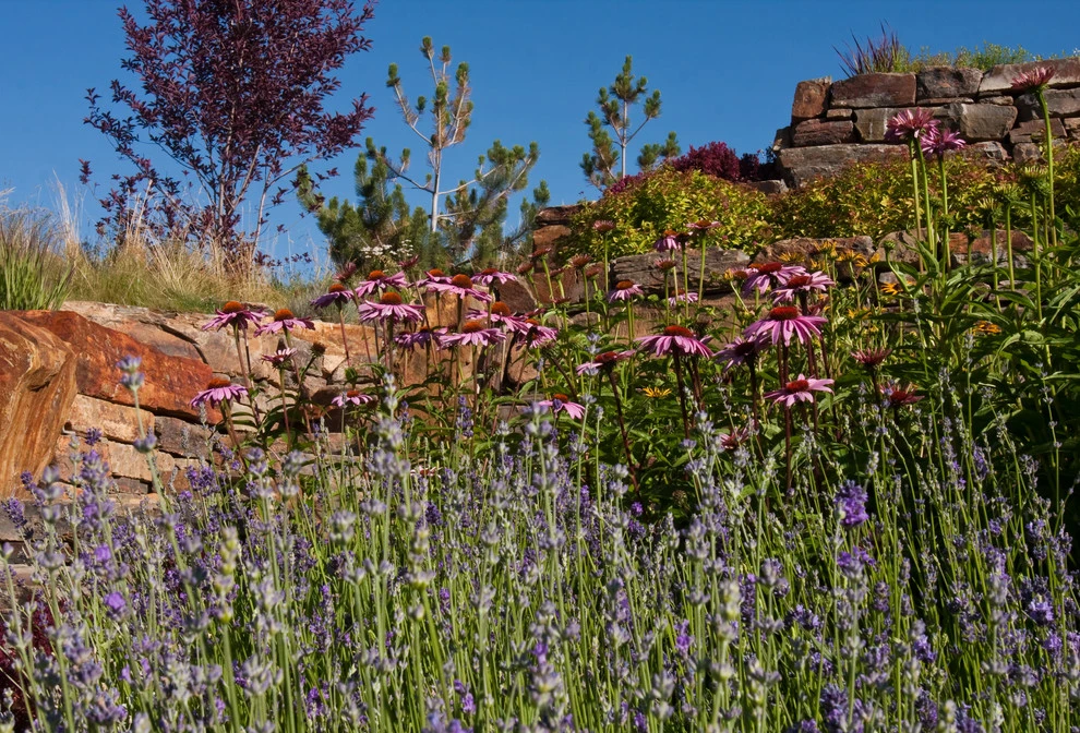 Sun Valley | Natural Stone Mountain Landscape by Terry T. King Landscape Architecture - Photo 47