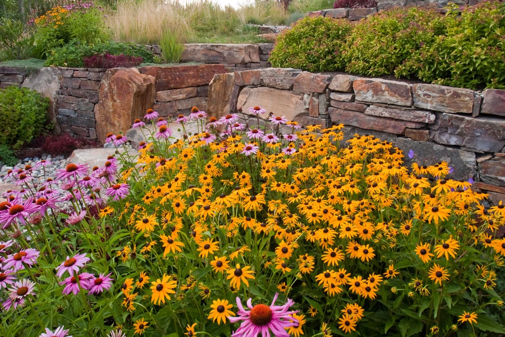 Terry T. King Landscape Architecture - Photo 6